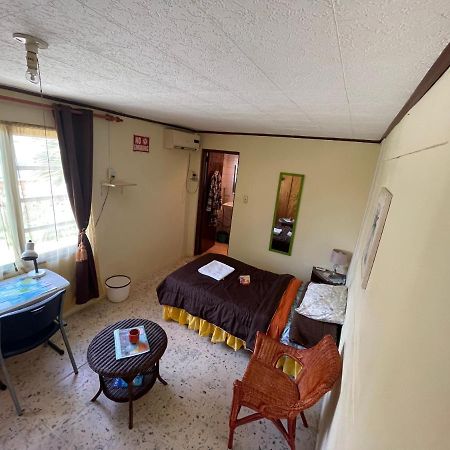 Apartmán Aruba Backpackers Oranjestad Exteriér fotografie