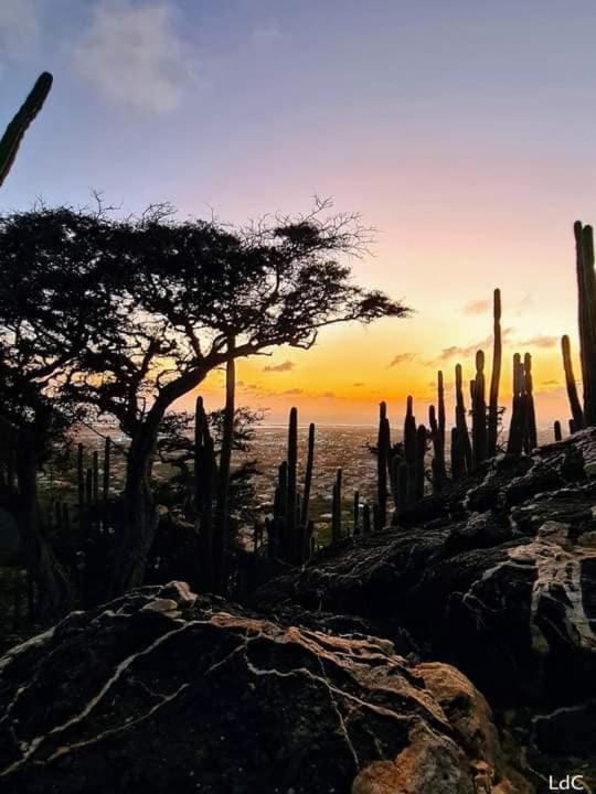 Apartmán Aruba Backpackers Oranjestad Exteriér fotografie