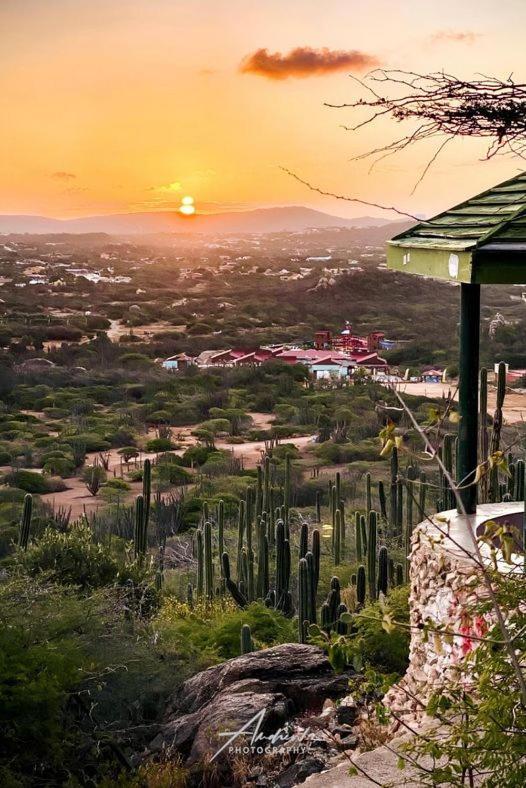Apartmán Aruba Backpackers Oranjestad Exteriér fotografie