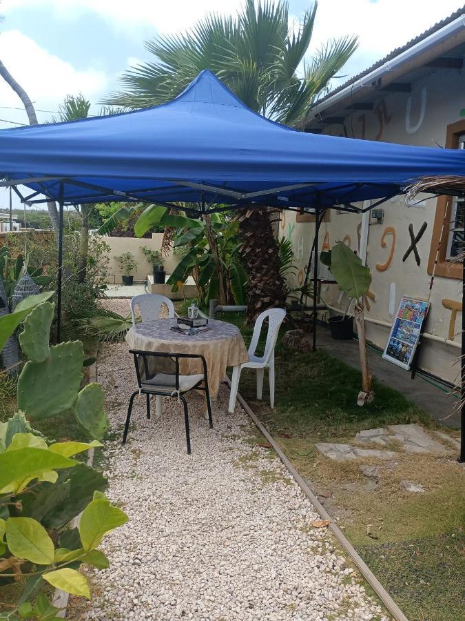 Apartmán Aruba Backpackers Oranjestad Exteriér fotografie