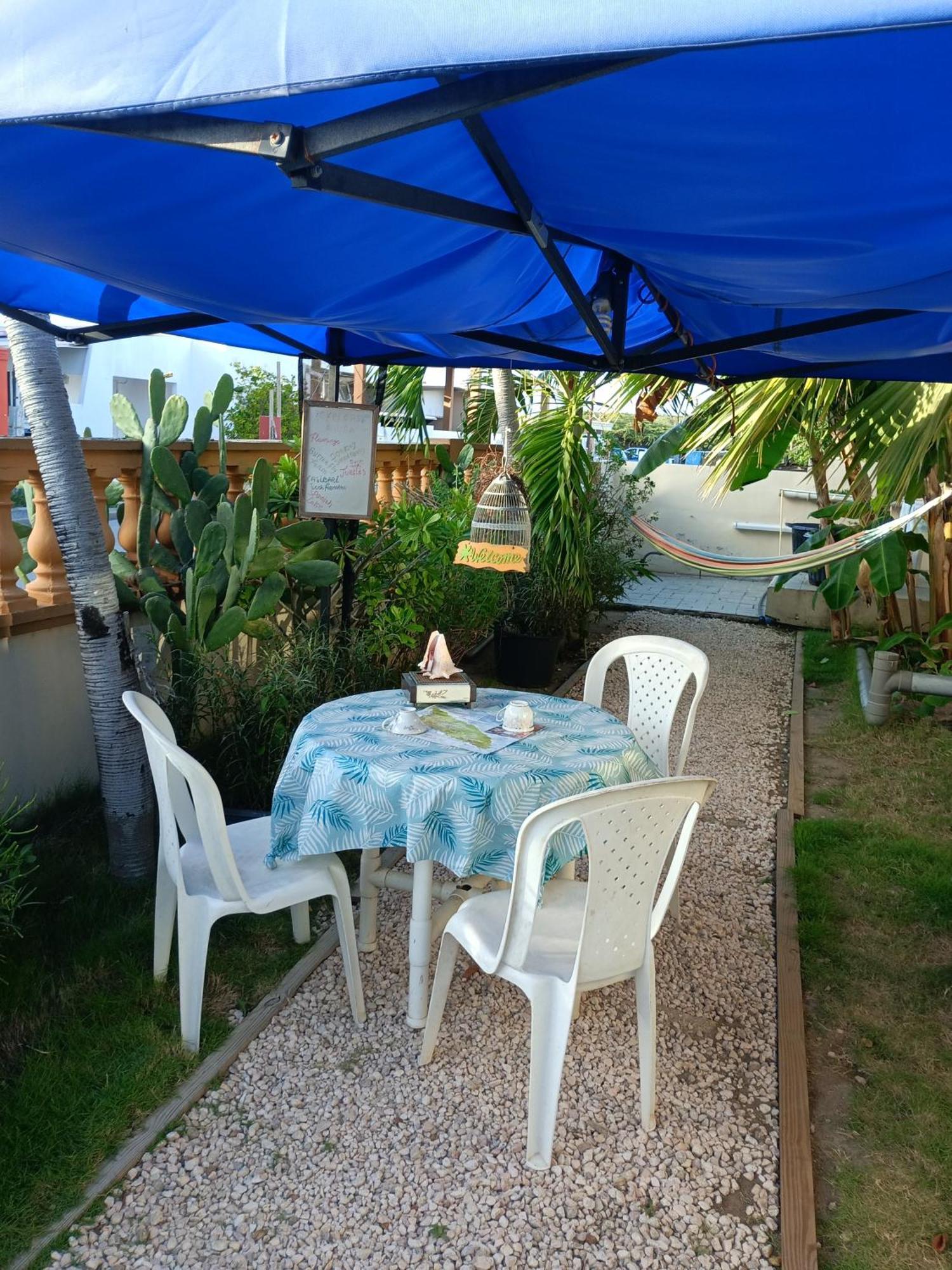 Apartmán Aruba Backpackers Oranjestad Exteriér fotografie