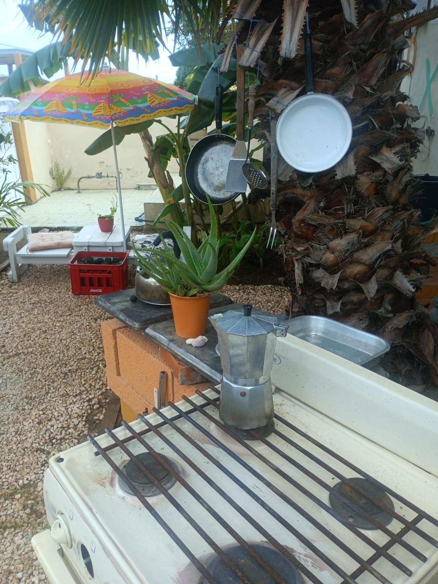 Apartmán Aruba Backpackers Oranjestad Exteriér fotografie